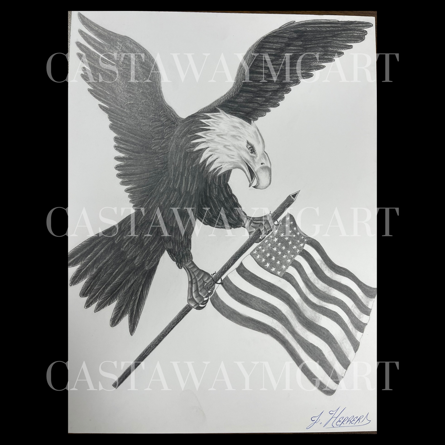 Eagle with American Flag