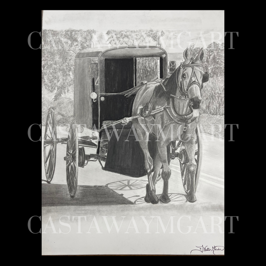 Amish Buggy and Horse