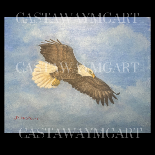 Spirit of Freedom Soars
